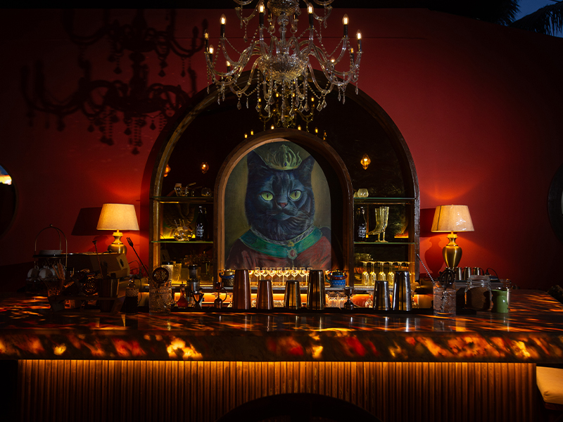 The eye-catching murals painted by Arun Sharma cast a motley crew of felines as Middle Eastern warriors, adding a sense of peculiarity to the visual language. (Image Credits: Anar)