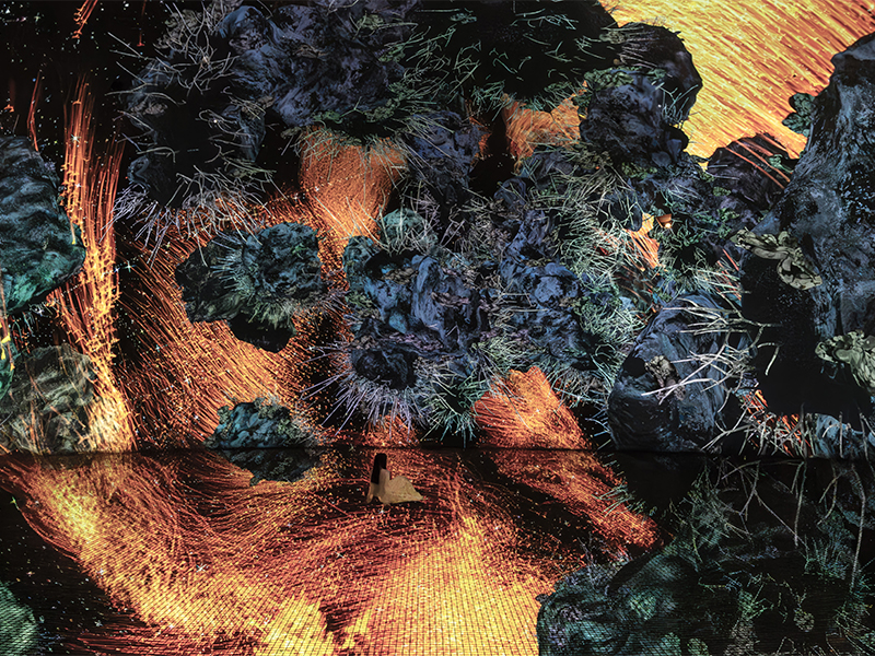 The Installation teamLab, ‘Biocosmos,’ 2025, from the series The Way of Birds, 2017, at the Dry Area. The sound is by Hideaki Takahashi. (Image Credits: Courtesy of teamLab and Pace Gallery) 