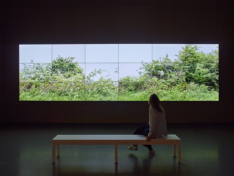 ‘Seven Yorkshire Landscapes,’ by David Hockney, 2011,18 digital videos synchronised and presented on 18 screens to compose a single work (Image Credit: Fondation Louis Vuitton)
