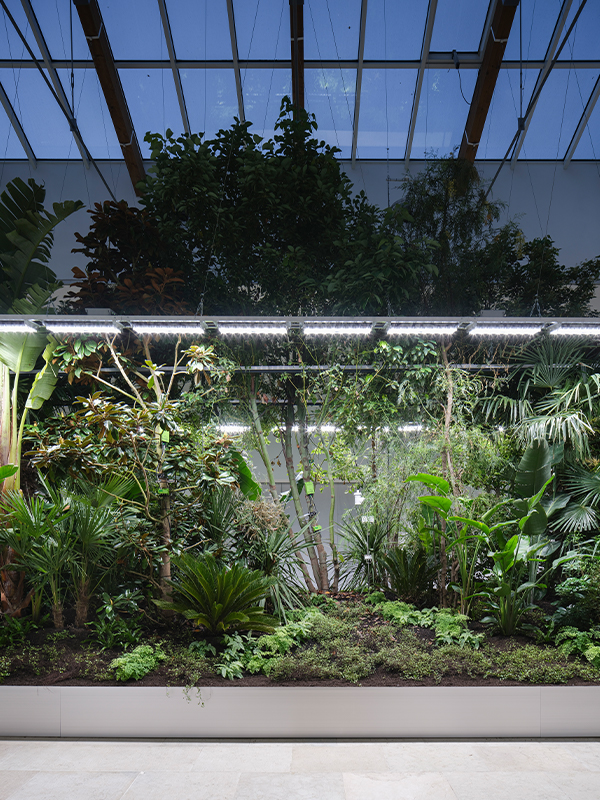 Building Biospheres by Bureau Bas Smets with Stefano Mancuso, Flanders Architecture Institute, 2025 (Image Credits: Michiel De Cleene)