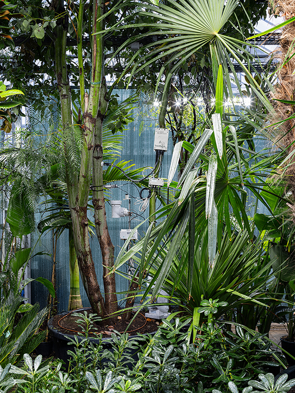 Building Biospheres by Bureau Bas Smets with Stefano Mancuso, Flanders Architecture Institute, 2025 (Image credits: Michiel De Cleene) 