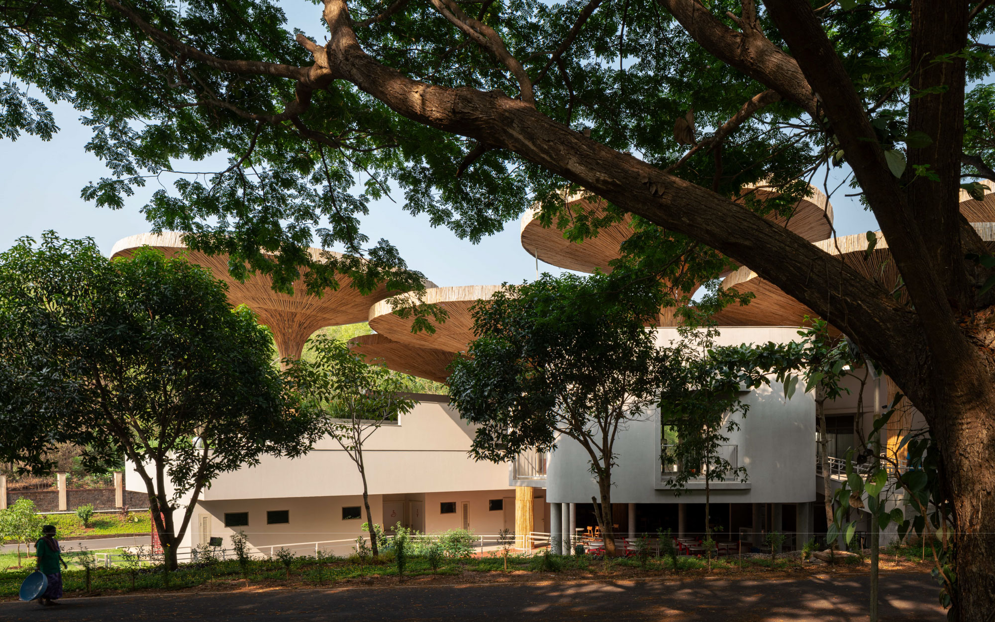 The parasol-like bamboo canopy reimagines the terrace as a shaded social commons, merging craft with climate-conscious design. (Image Credits: Pranit Bora Studio)