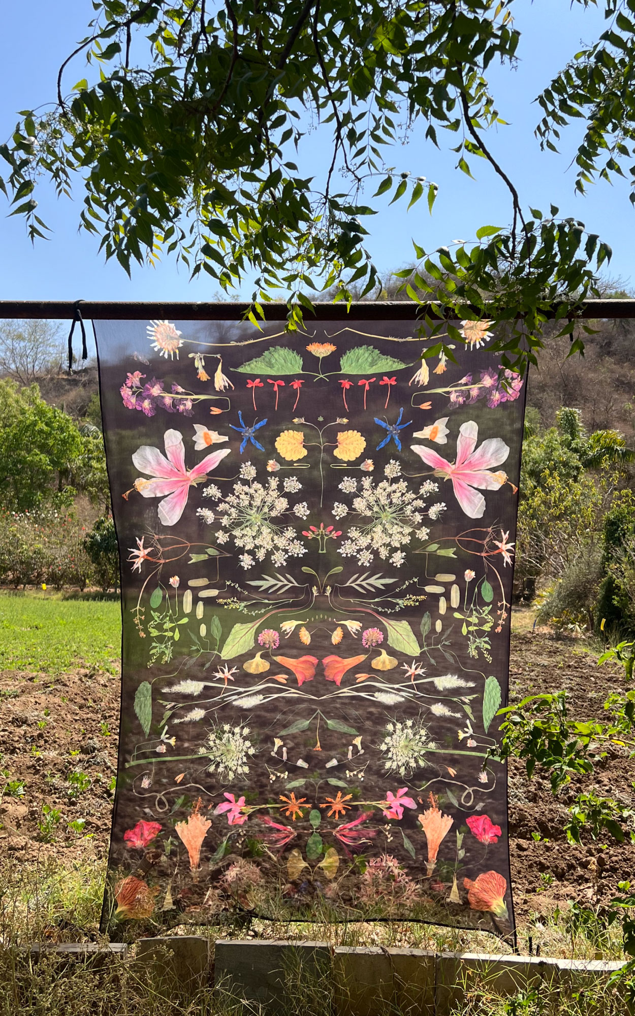 ‘Abundance’ - a 6 ft x 4 ft composition featuring 40 botanical species — including 23 native Aravalli flowers — foraged and preserved in Udaipur. (Image Courtesy: Kaanchi Chopra)