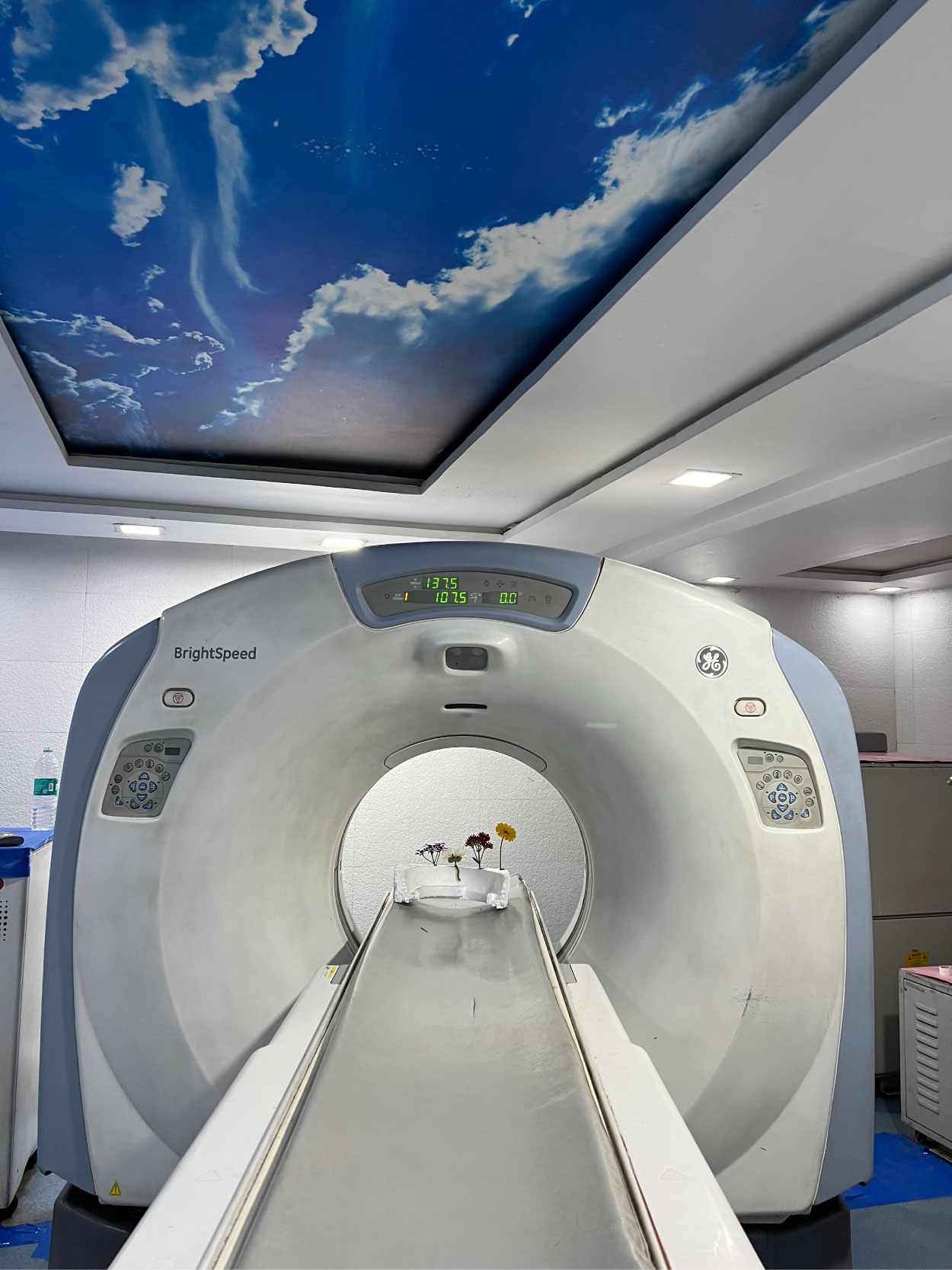 A glimpse into the process: Discovering floral delicacy and plant structure through medical imaging at a radiology centre in Agra. (Image Courtesy: Kaanchi Chopra)