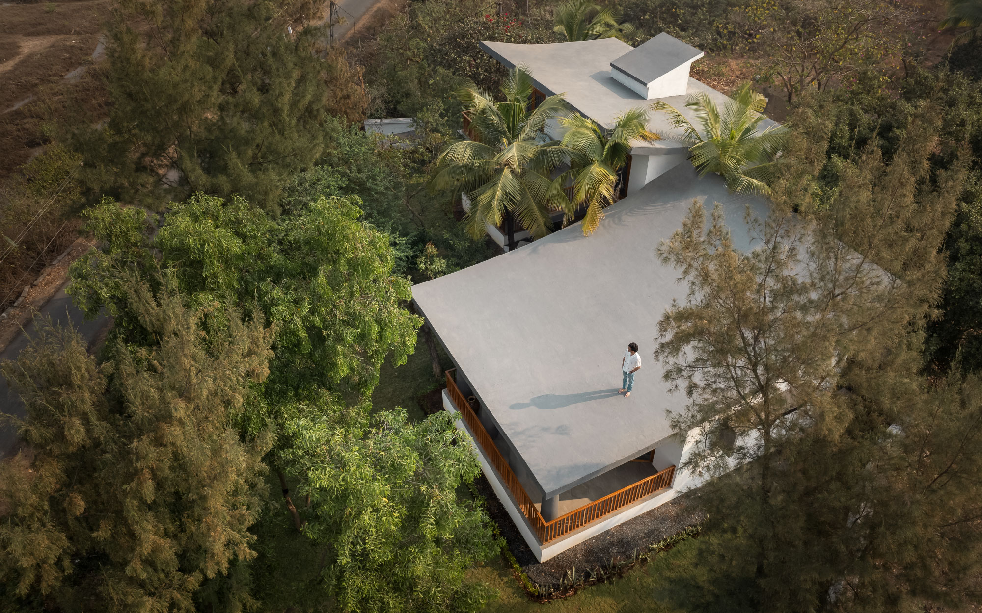 The towering palms stand as a natural bastion to the home; this verdant screen softly muffles the distant hum of the highway. (Image Credits: Ekansh Goel)